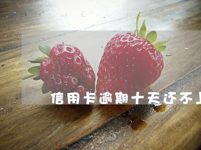 信用卡逾期十天还不上了 信用卡逾期十天还不上了
