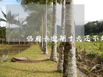 信用卡逾期十天还不起了