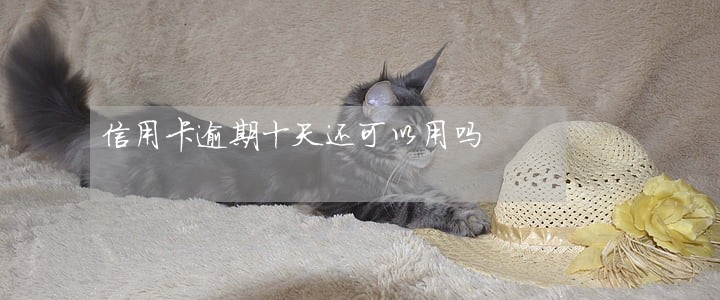 信用卡逾期十天还可以用吗 信用卡逾期十天还可以用吗