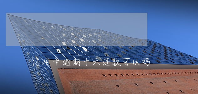 信用卡逾期十天还款可以吗