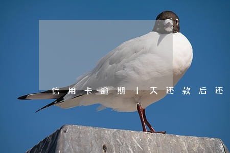 信用卡逾期十天还款后还可以用吗