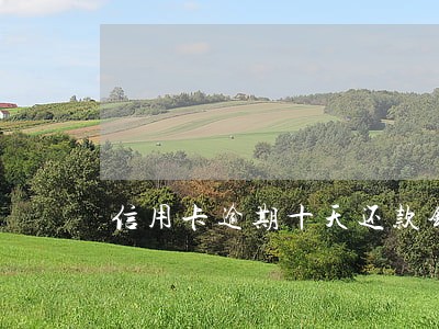 信用卡逾期十天还款锁卡 信用卡逾期十天还款锁卡