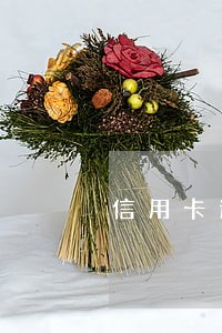 信用卡逾期十天还清能正常用吗 信用卡逾期十天还清能正常用吗