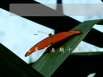 信用卡逾期十天还能买车吗 信用卡逾期十天还能买车吗