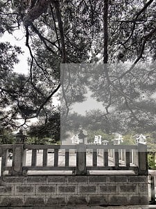 信用卡逾期十天违约金 信用卡逾期十天违约金