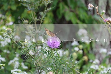 信用卡逾期十年了会有什么后果 信用卡逾期十年了会有什么后果