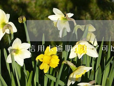 信用卡逾期十年了可以和银行协商 信用卡逾期十年了可以和银行协商