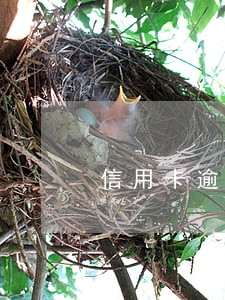 信用卡逾期十年产生多少利息 信用卡逾期十年产生多少利息