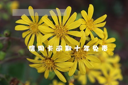 信用卡逾期十年免责 信用卡逾期十年免责