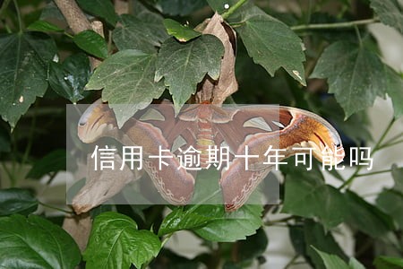 信用卡逾期十年可能吗