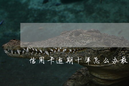 信用卡逾期十年怎么办最快方法