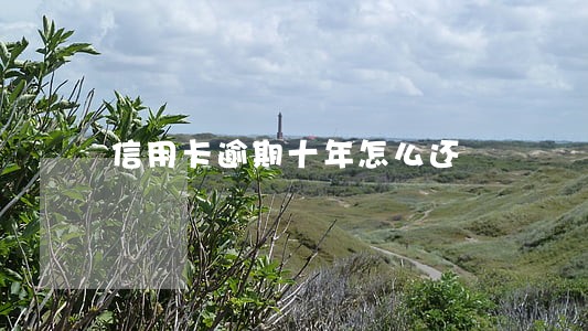 信用卡逾期十年怎么还 信用卡逾期十年怎么还