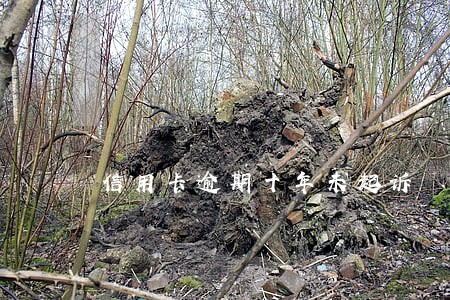 信用卡逾期十年未起诉 信用卡逾期十年未起诉