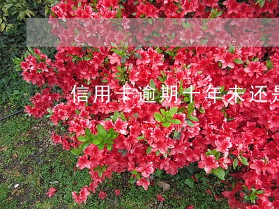 信用卡逾期十年未还是怎样 信用卡逾期十年未还是怎样