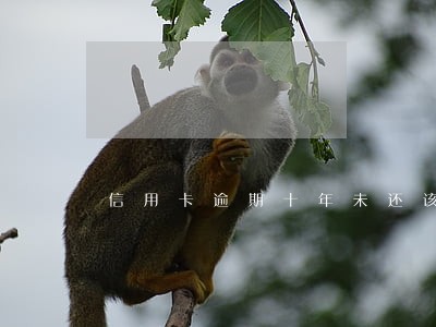 信用卡逾期十年未还该怎么处理