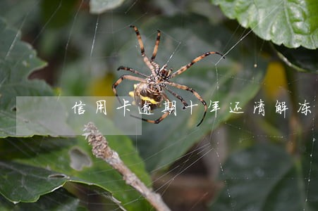 信用卡逾期十年还清解冻 信用卡逾期十年还清解冻