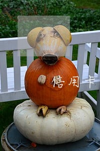 信用卡逾期十年还需要还吗 信用卡逾期十年还需要还吗