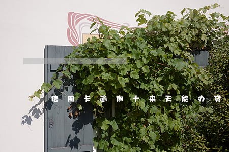 信用卡逾期十来天能办贷款吗 信用卡逾期十来天能办贷款吗