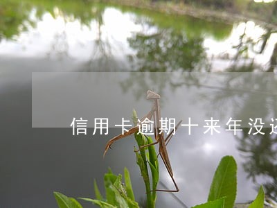 信用卡逾期十来年没还 信用卡逾期十来年没还