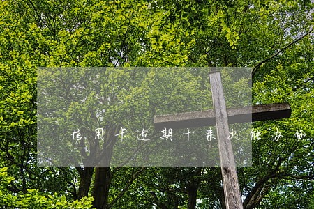信用卡逾期十来次能办贷款吗 信用卡逾期十来次能办贷款吗