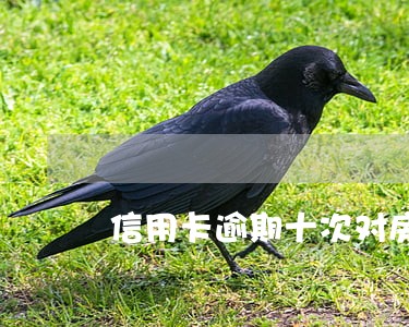 信用卡逾期十次对房贷有影响吗 信用卡逾期十次对房贷有影响吗