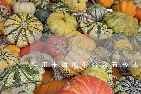 信用卡逾期千分之五合法 信用卡逾期千分之五合法