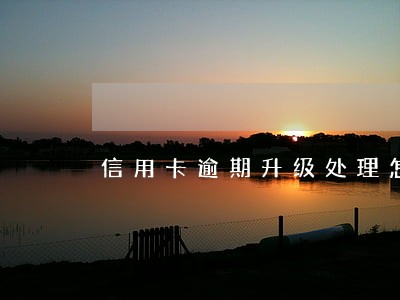 信用卡逾期升级处理怎么处理 信用卡逾期升级处理怎么处理