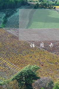 信用卡逾期升级处理是什么 信用卡逾期升级处理是什么