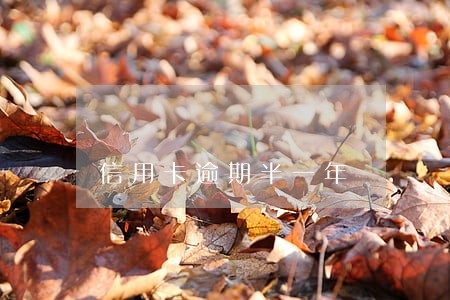 信用卡逾期半一年 信用卡逾期半一年