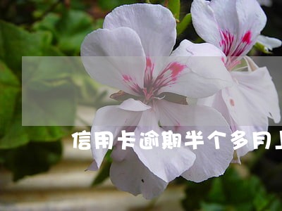 信用卡逾期半个多月上征信吗