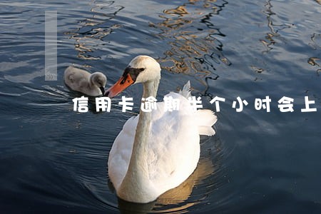 信用卡逾期半个小时会上征信吗 信用卡逾期半个小时会上征信吗