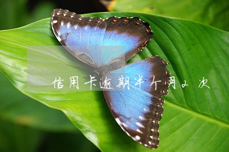 信用卡逾期半个月2次 信用卡逾期半个月2次