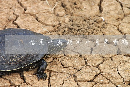 信用卡逾期半个月严重嘛 信用卡逾期半个月严重嘛