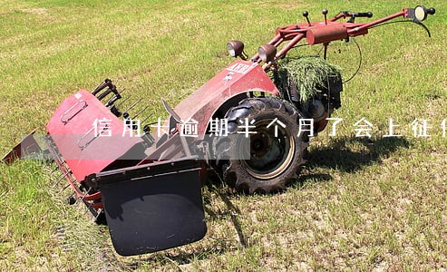 信用卡逾期半个月了会上征信吗