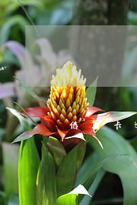 信用卡逾期半个月了要怎么处理 信用卡逾期半个月了要怎么处理
