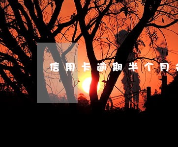信用卡逾期半个月会降额 信用卡逾期半个月会降额