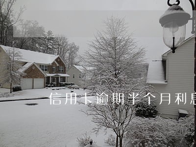 信用卡逾期半个月利息