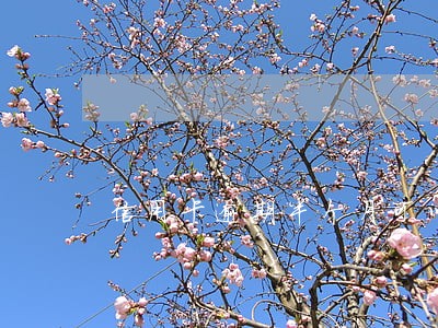 信用卡逾期半个月可以协商分期 信用卡逾期半个月可以协商分期