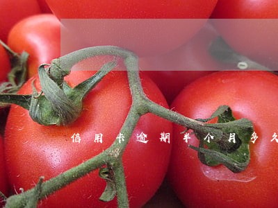 信用卡逾期半个月多久能消除 信用卡逾期半个月多久能消除