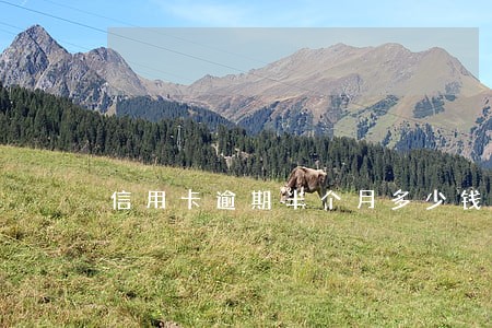 信用卡逾期半个月多少钱 信用卡逾期半个月多少钱