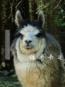 信用卡逾期半个月对提额 信用卡逾期半个月对提额