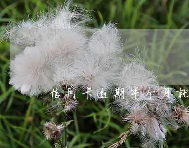信用卡逾期半个月就会怎样 信用卡逾期半个月就会怎样