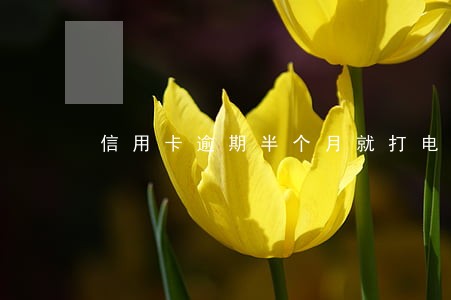 信用卡逾期半个月就打电话 信用卡逾期半个月就打电话