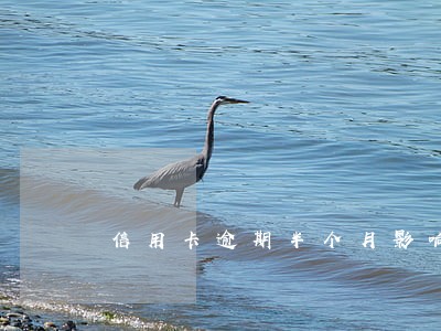 信用卡逾期半个月影响贷款么 信用卡逾期半个月影响贷款么