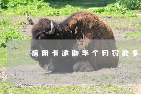 信用卡逾期半个月罚款多少