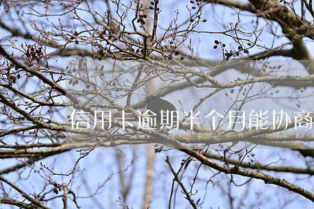 信用卡逾期半个月能协商吗 信用卡逾期半个月能协商吗