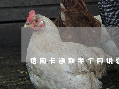 信用卡逾期半个月说要起诉我 信用卡逾期半个月说要起诉我