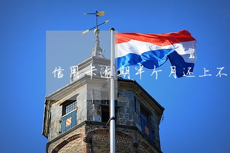 信用卡逾期半个月还上不能用 信用卡逾期半个月还上不能用