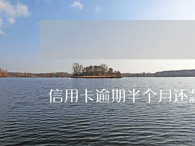 信用卡逾期半个月还款会上征信吗 信用卡逾期半个月还款会上征信吗
