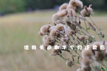 信用卡逾期半个月还款后果 信用卡逾期半个月还款后果
